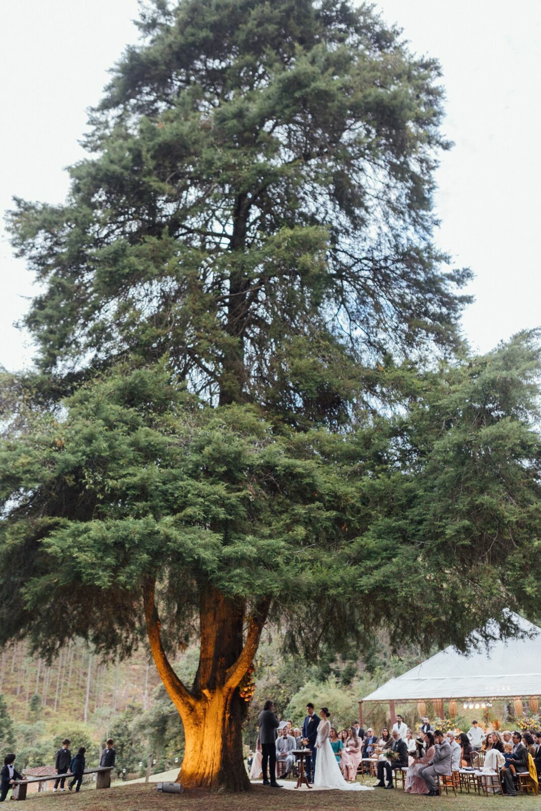 Foto Casamento Giovana e Ronny - Visconde de Mauá - RJ - Imagem 115