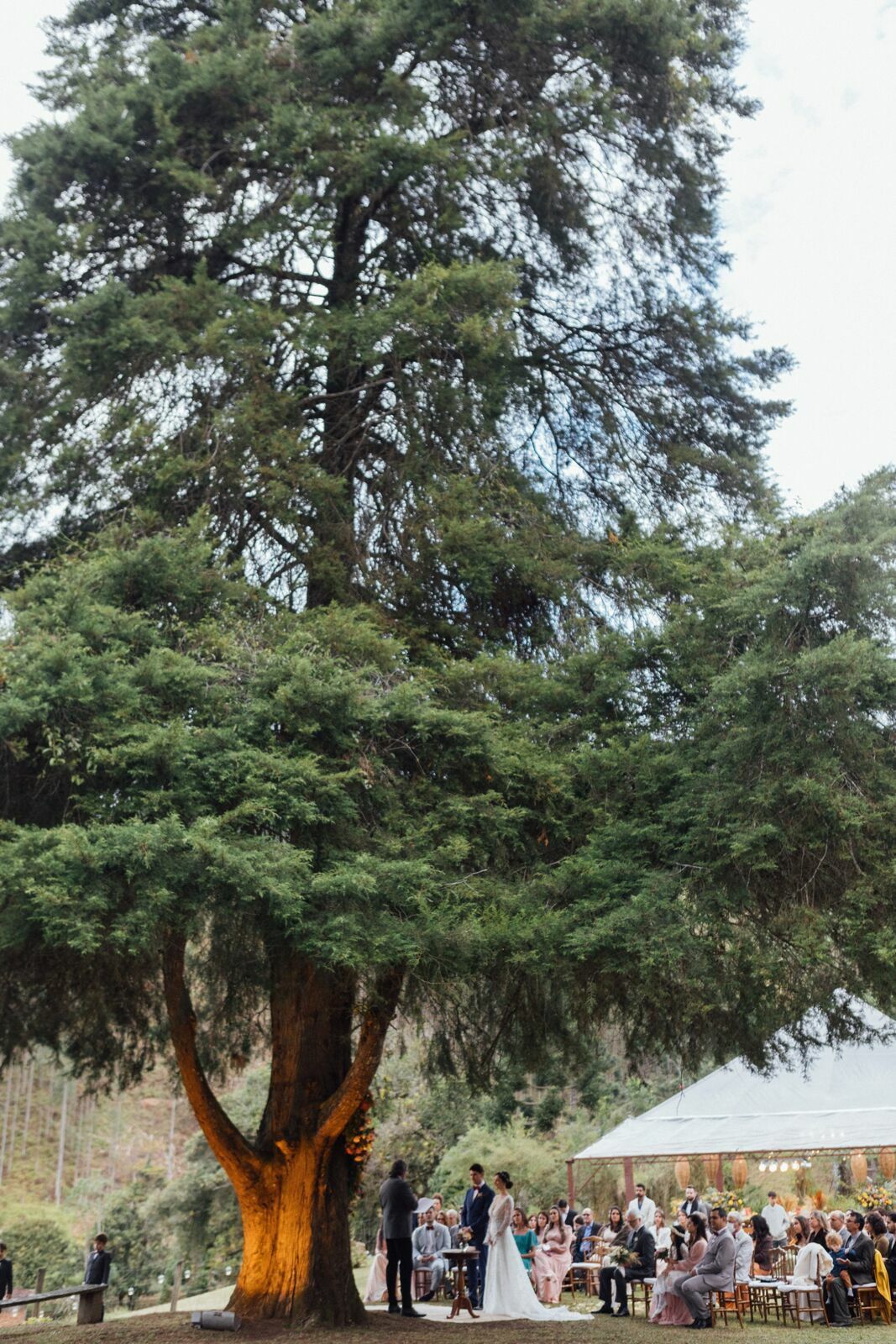 Foto Casamento Giovana e Ronny - Visconde de Mauá - RJ - Imagem 114