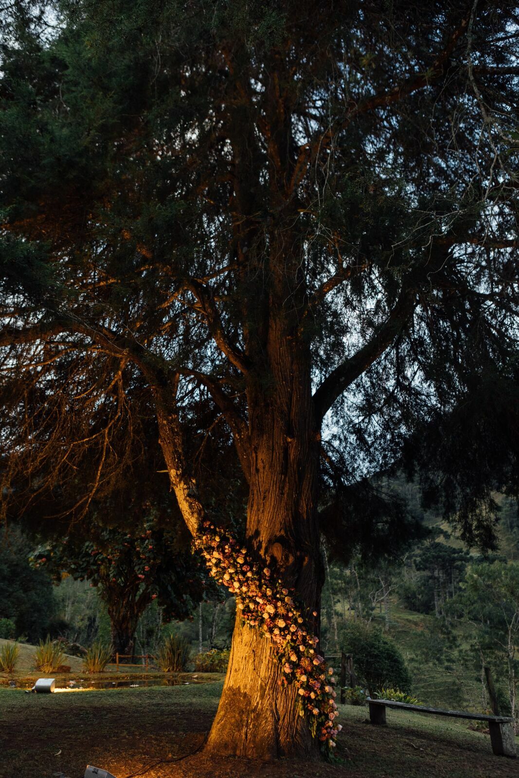 Foto Casamento Giovana e Ronny - Visconde de Mauá - RJ - Imagem 176