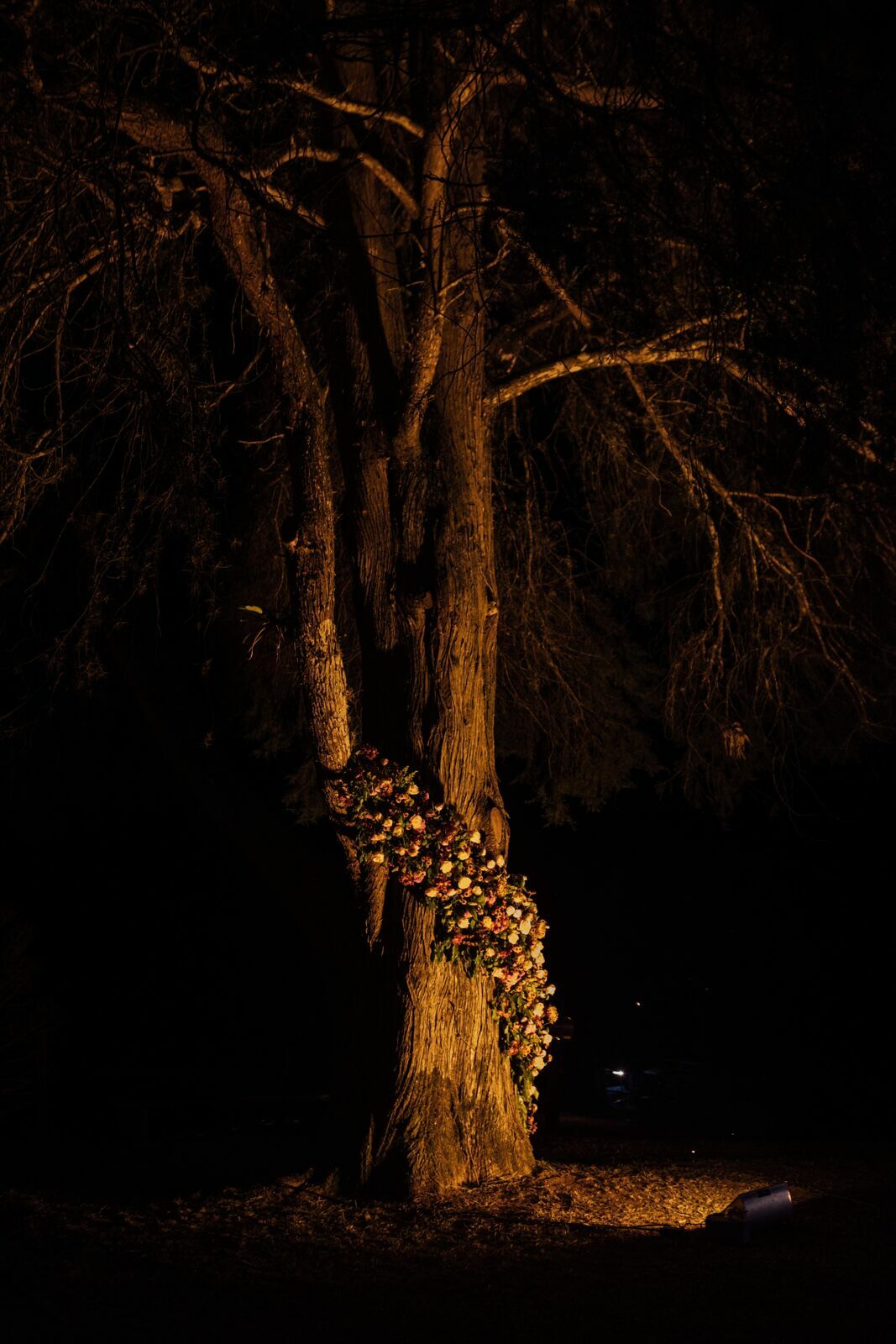 Foto Casamento Giovana e Ronny - Visconde de Mauá - RJ - Imagem 206