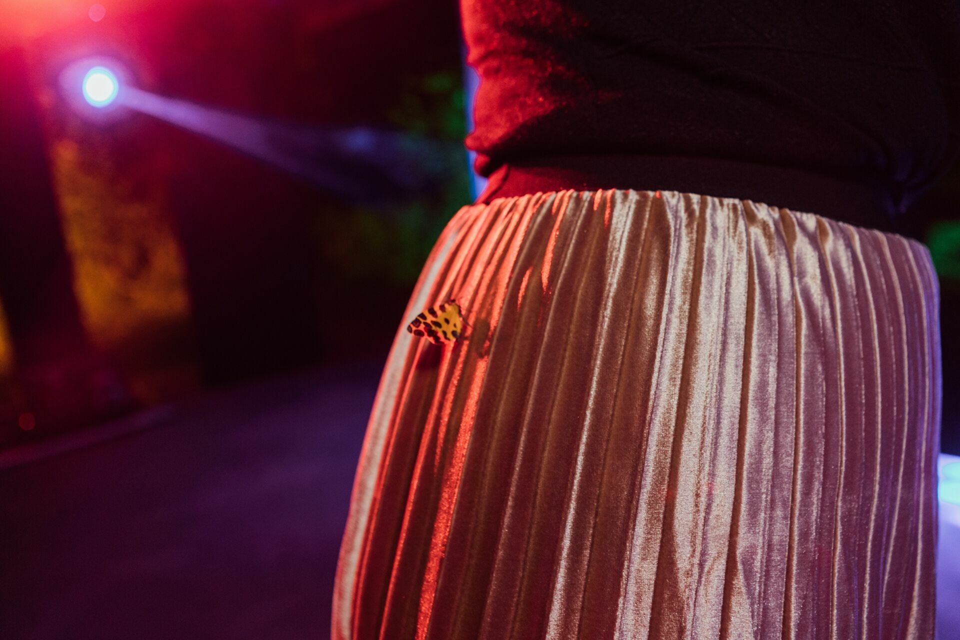 Foto Casamento Giovana e Ronny - Visconde de Mauá - RJ - Imagem 235