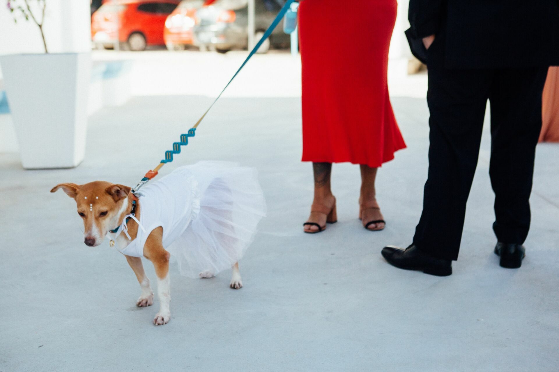 Foto Marina e Caio - Igeja N.S.Neves  e restaurante Teréze - Santa Teresa - Rio de Janeiro - Imagem 60