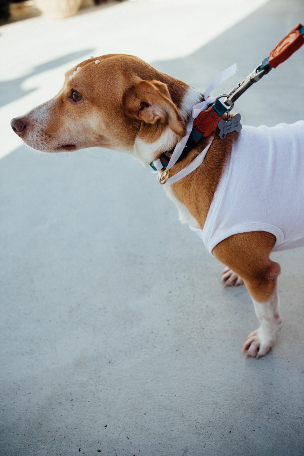 Foto Marina e Caio - Igeja N.S.Neves  e restaurante Teréze - Santa Teresa - Rio de Janeiro - Imagem 61