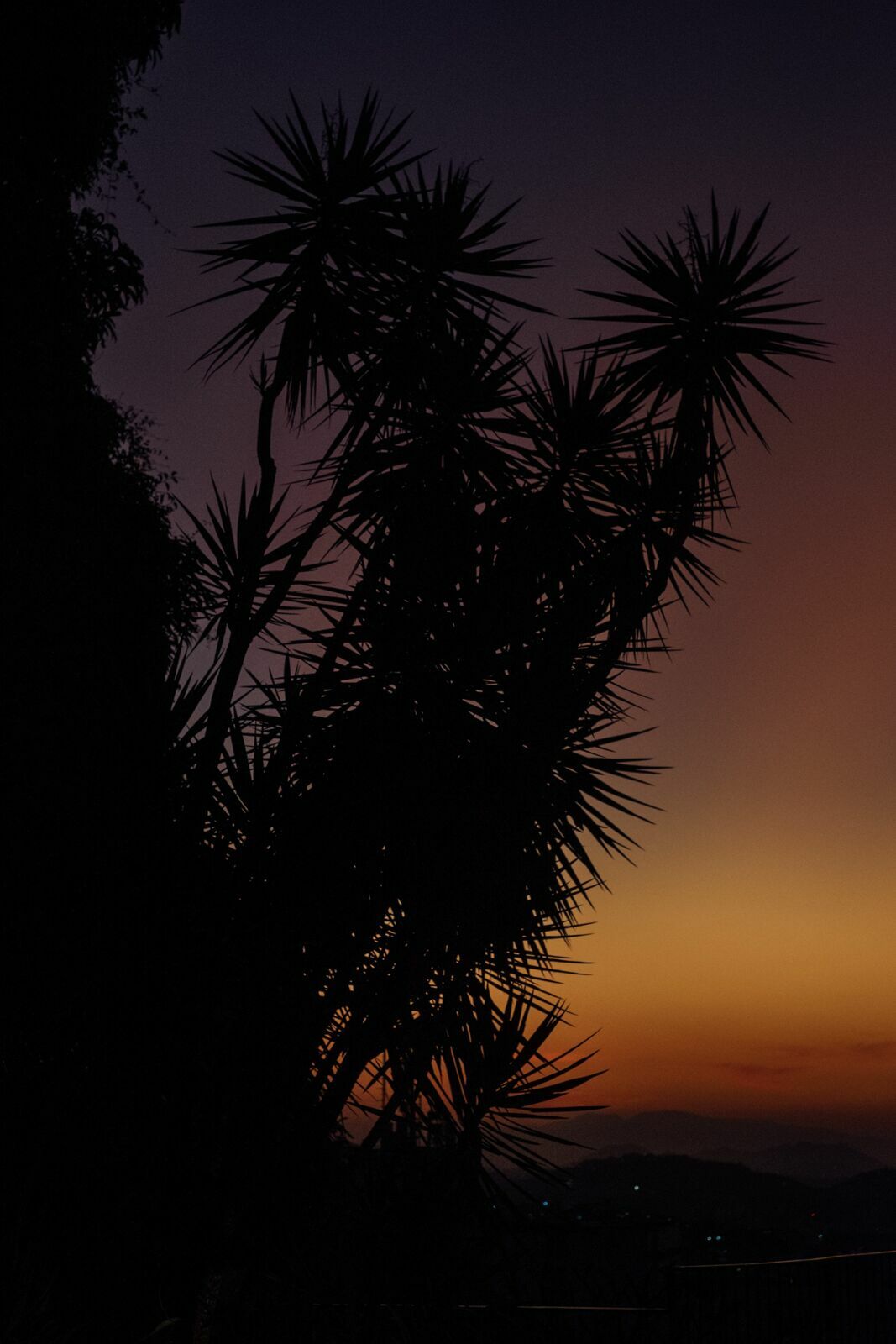 Foto Marina e Caio - Igeja N.S.Neves  e restaurante Teréze - Santa Teresa - Rio de Janeiro - Imagem 219