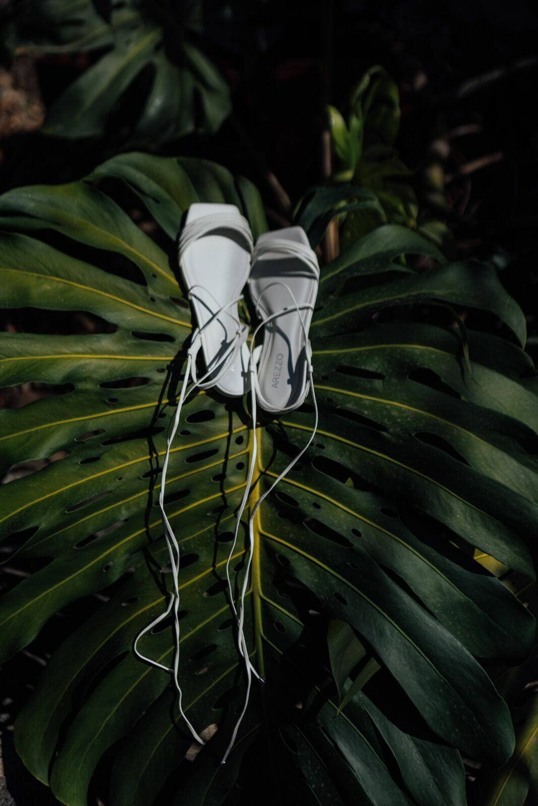 Foto Fernanda e Zezao - Condominio Bosque do Limeira - Resende RJ - Imagem 3