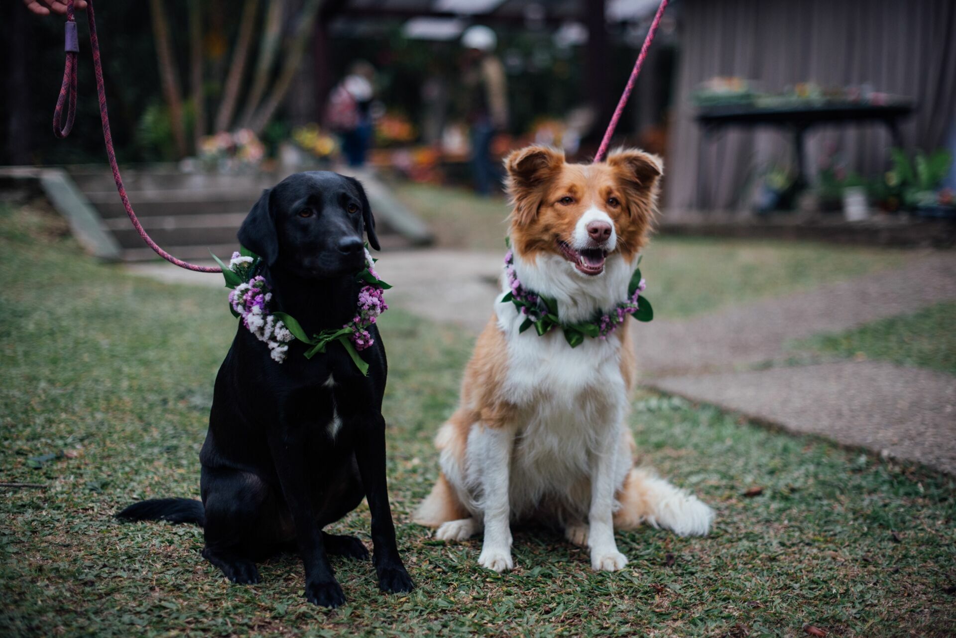 Foto Casamento Tamires e Edson - Pousada da ponte - Visconde de Mauá - - Imagem 32