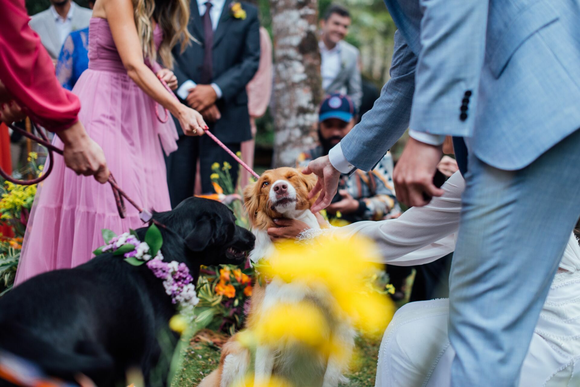 Foto Casamento Tamires e Edson - Pousada da ponte - Visconde de Mauá - - Imagem 183