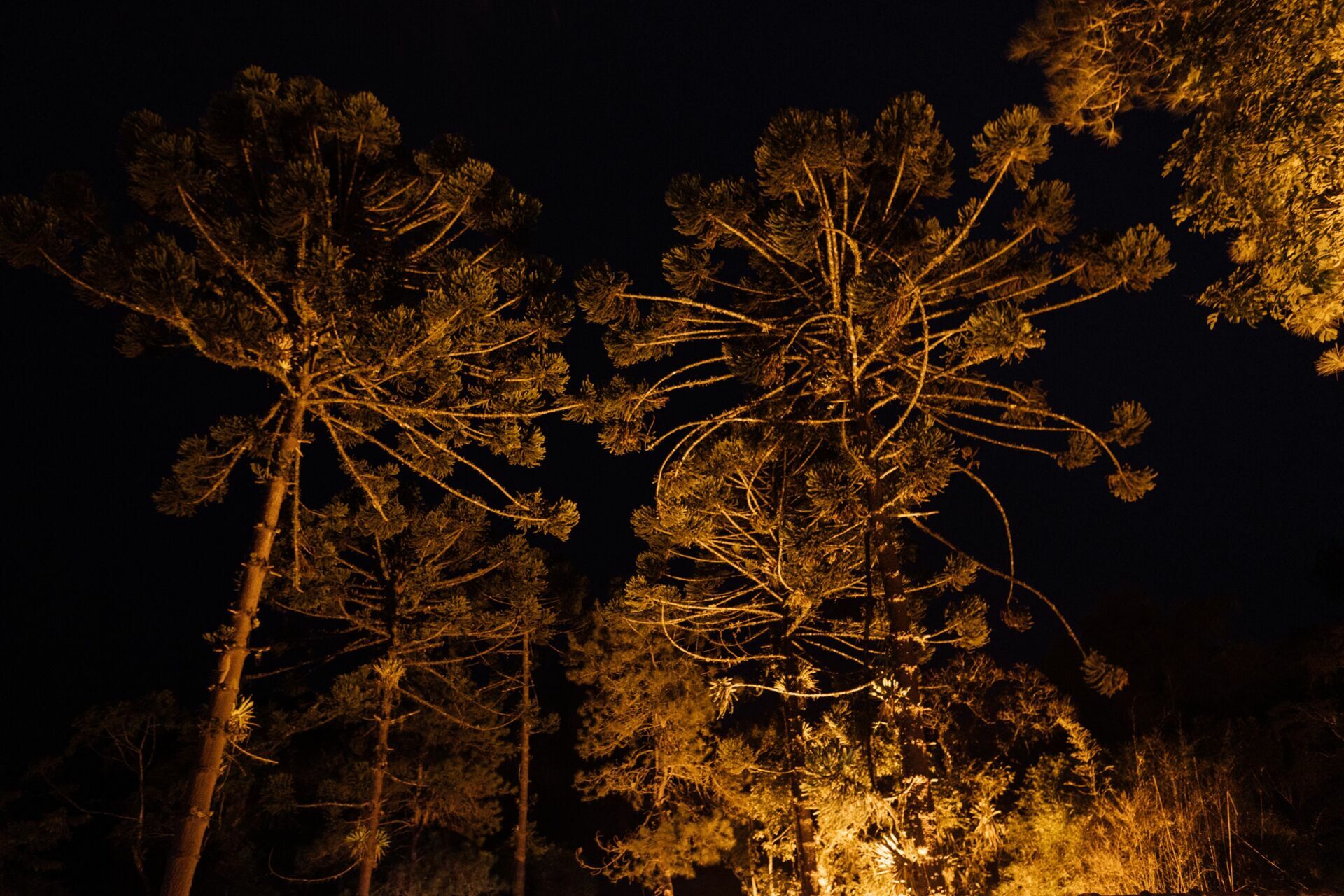 Foto Casamento Tamires e Edson - Pousada da ponte - Visconde de Mauá - - Imagem 275