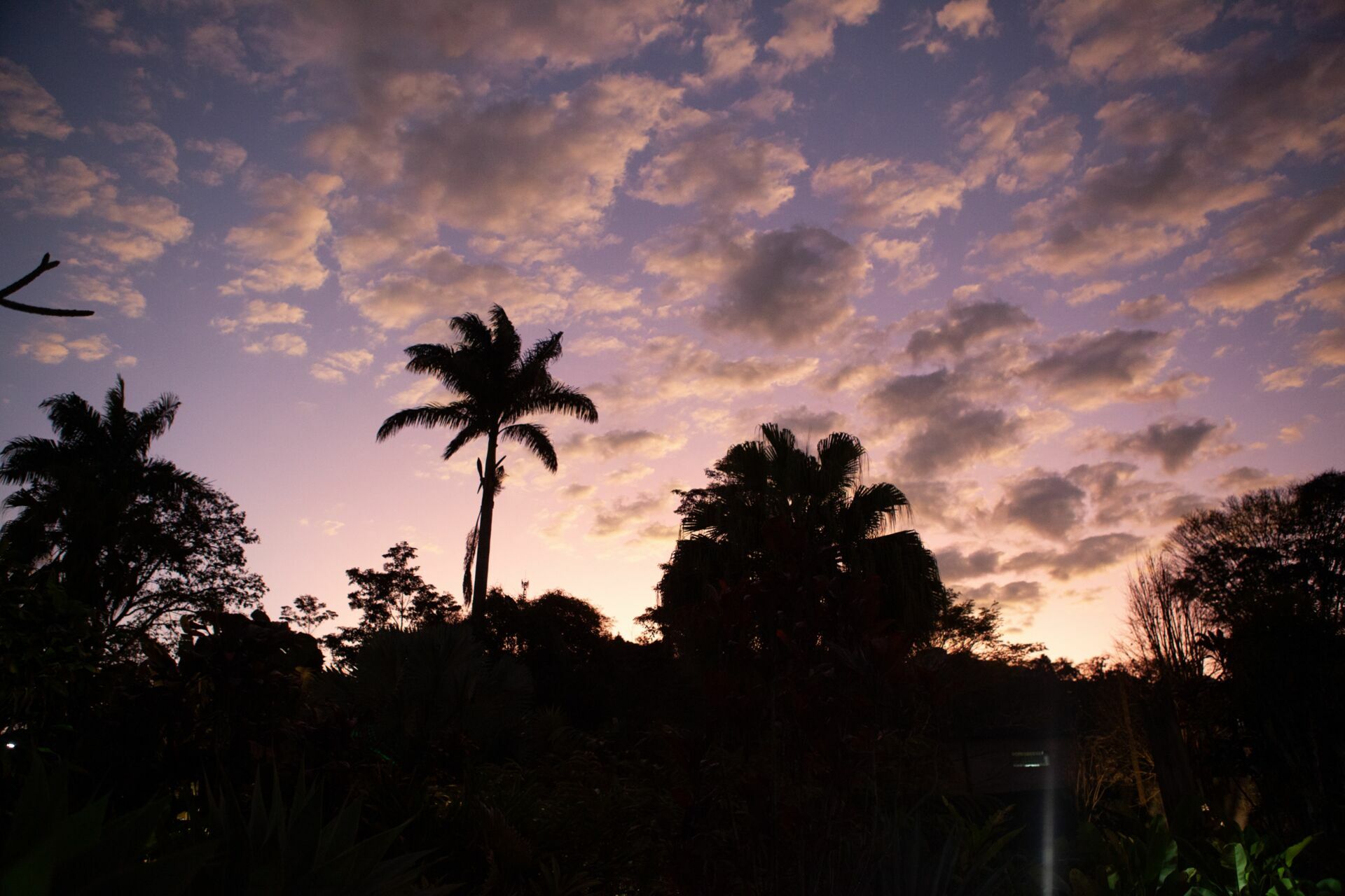 Foto Casamento Mayara e Felipe - Casarão Penedo - Penedo - RJ - Imagem 167