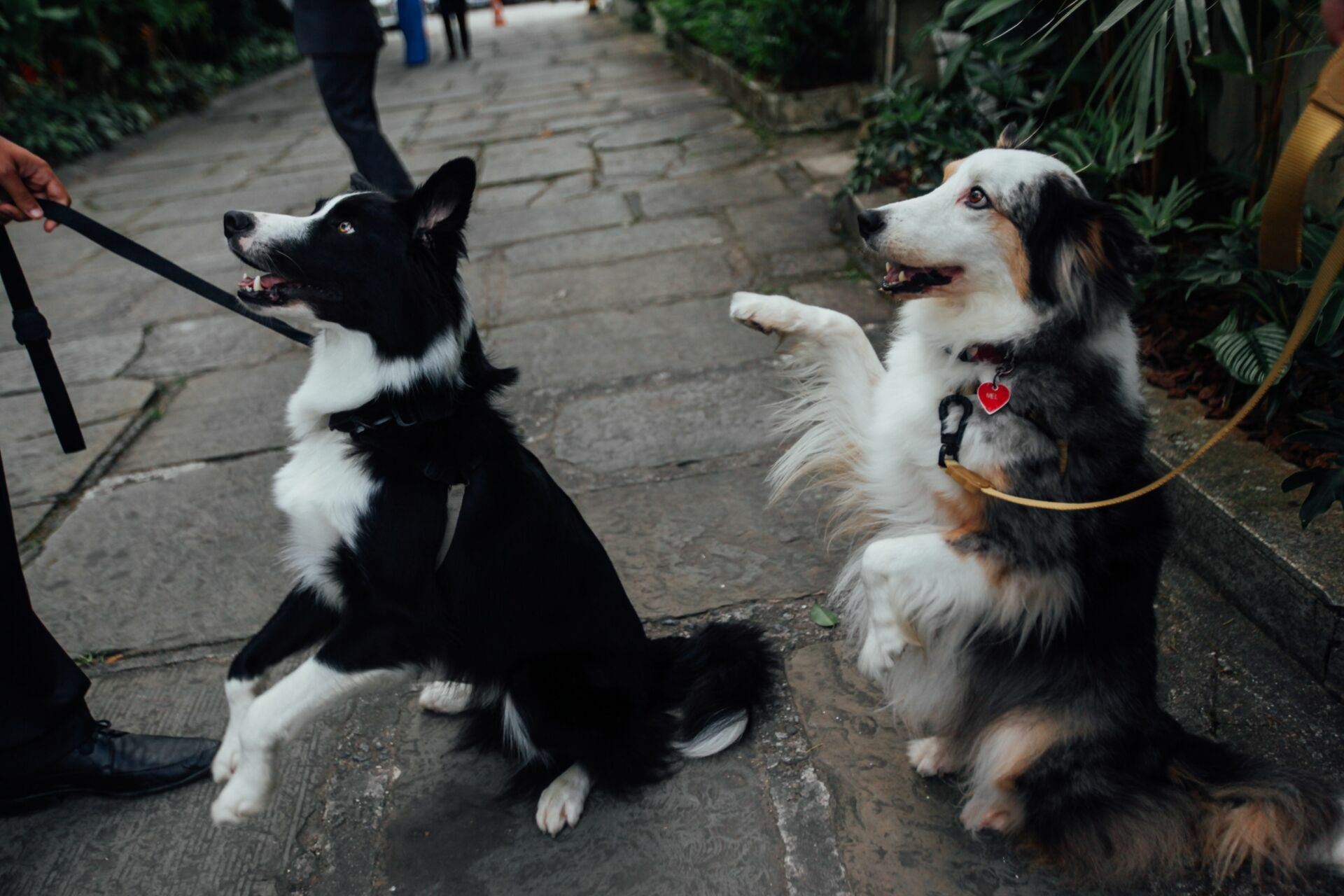Foto Casamento Ana Beatriz e Marcelo - clube Germania - Gávea RJ - Imagem 67