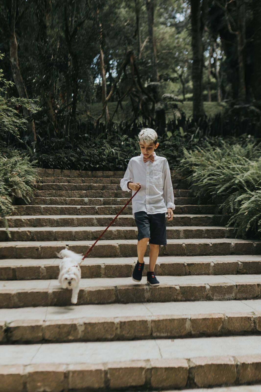Foto Casamento Carla e Lucas - Casa Giardino - Mogi das Cruzes -sp - Imagem 82