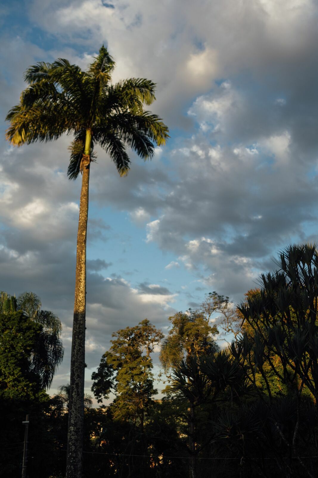 Foto Casamento Ana Carolina e Paulo Henrique - Igreja Santa Cecilia e Galpon - VR -RJ - Imagem 8
