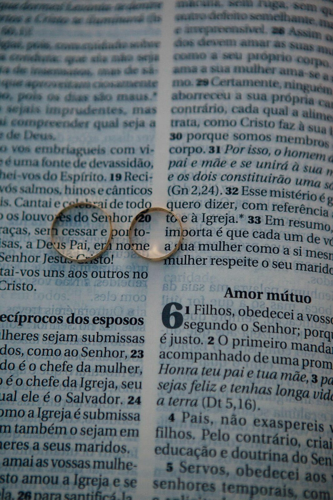 Foto Casamento Joao Marcos e Juliana - Visconde de Mauá - RJ - Parte II - Celebração e Festa Foto Casamento Joao Marcos e Juliana - Visconde de Mauá - RJ - Parte II - Celebração e Festa - Imagem 121
