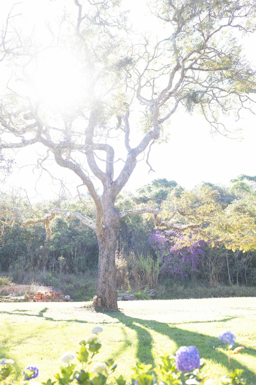 Foto Rafaela e Otávio - Matriz de Santo Antônio e Villa Paolucci - Tiradentes -MG Foto Rafaela e Otávio - Matriz de Santo Antônio e Villa Paolucci - Tiradentes -MG - Imagem 93