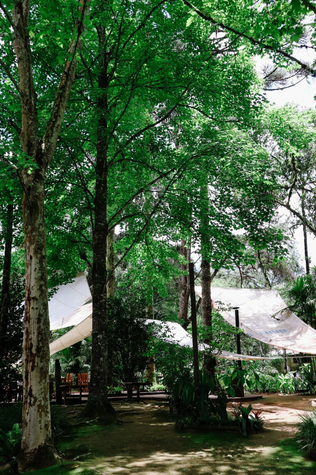 Foto JACK E JOÃO - RESTAURANTE ROSMARINUS - MARINGÁ /VISCONDE DE MAUÁ- RJ - Imagem 119