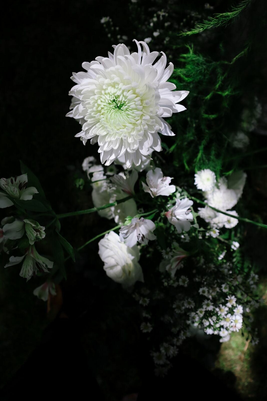 Foto JACK E JOÃO - RESTAURANTE ROSMARINUS - MARINGÁ /VISCONDE DE MAUÁ- RJ - Imagem 168