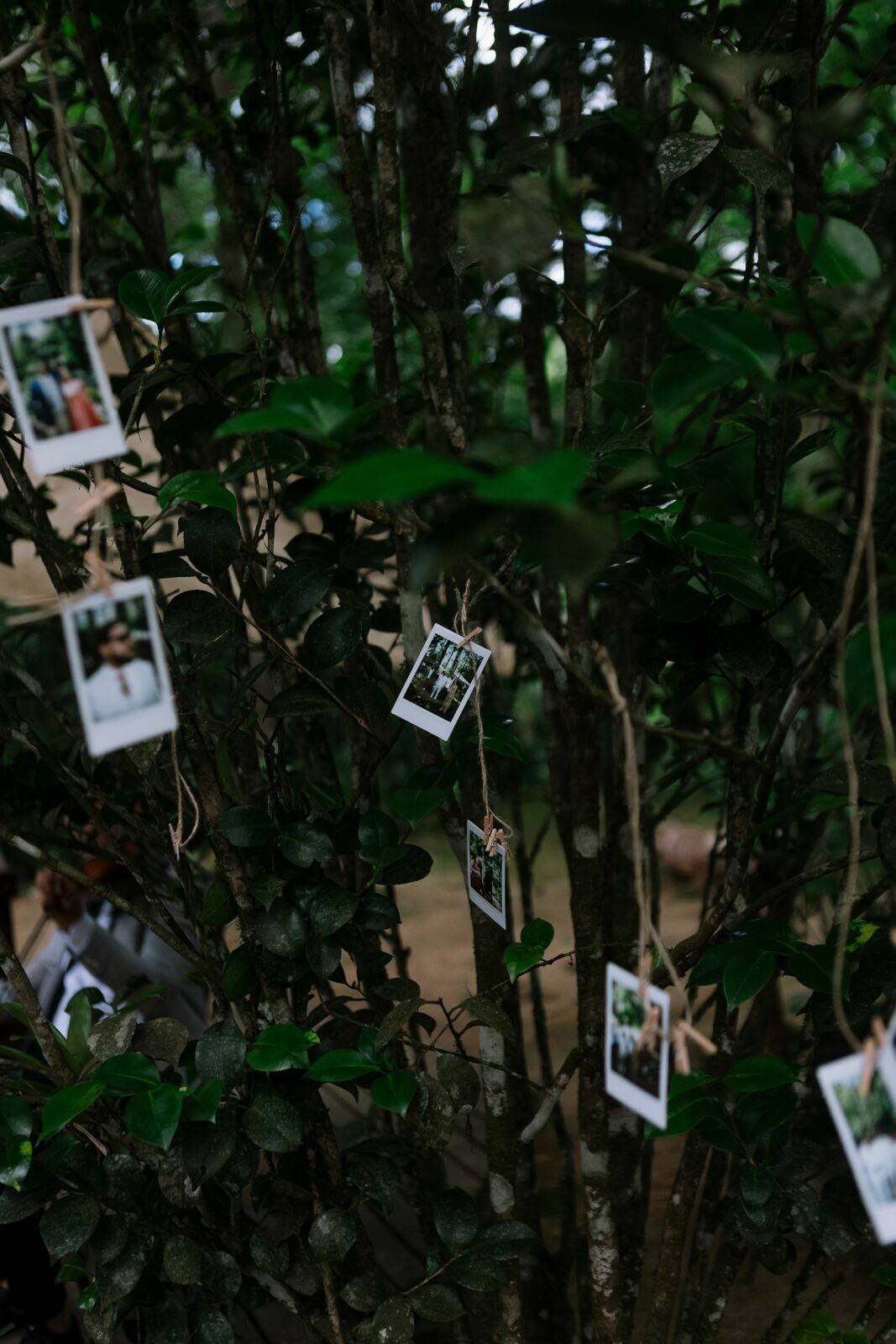 Foto JACK E JOÃO - RESTAURANTE ROSMARINUS - MARINGÁ /VISCONDE DE MAUÁ- RJ - Imagem 390