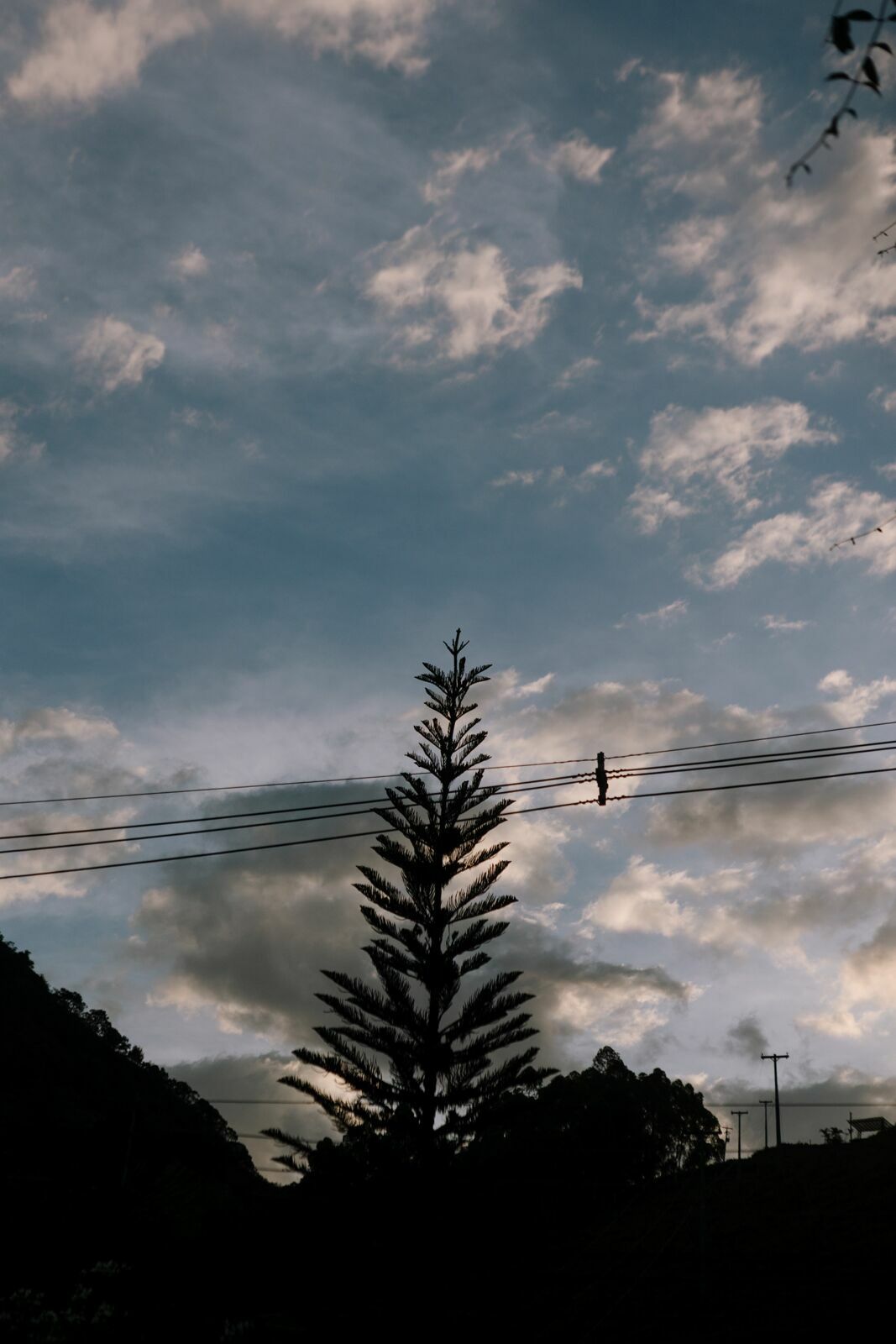 Foto JACK E JOÃO - RESTAURANTE ROSMARINUS - MARINGÁ /VISCONDE DE MAUÁ- RJ - Imagem 613