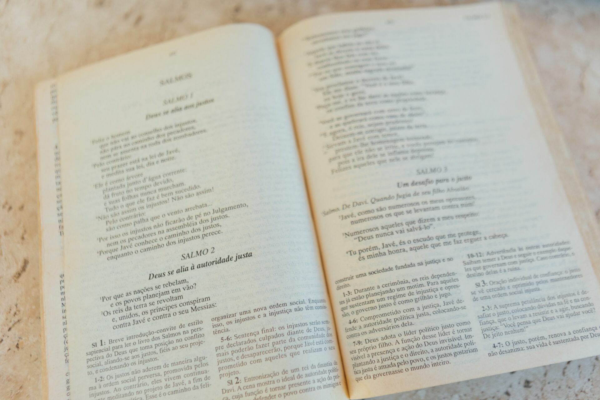 Foto Renata e Andre - Restaurante Jardim Secreto - Penedo -RJ - Imagem 77