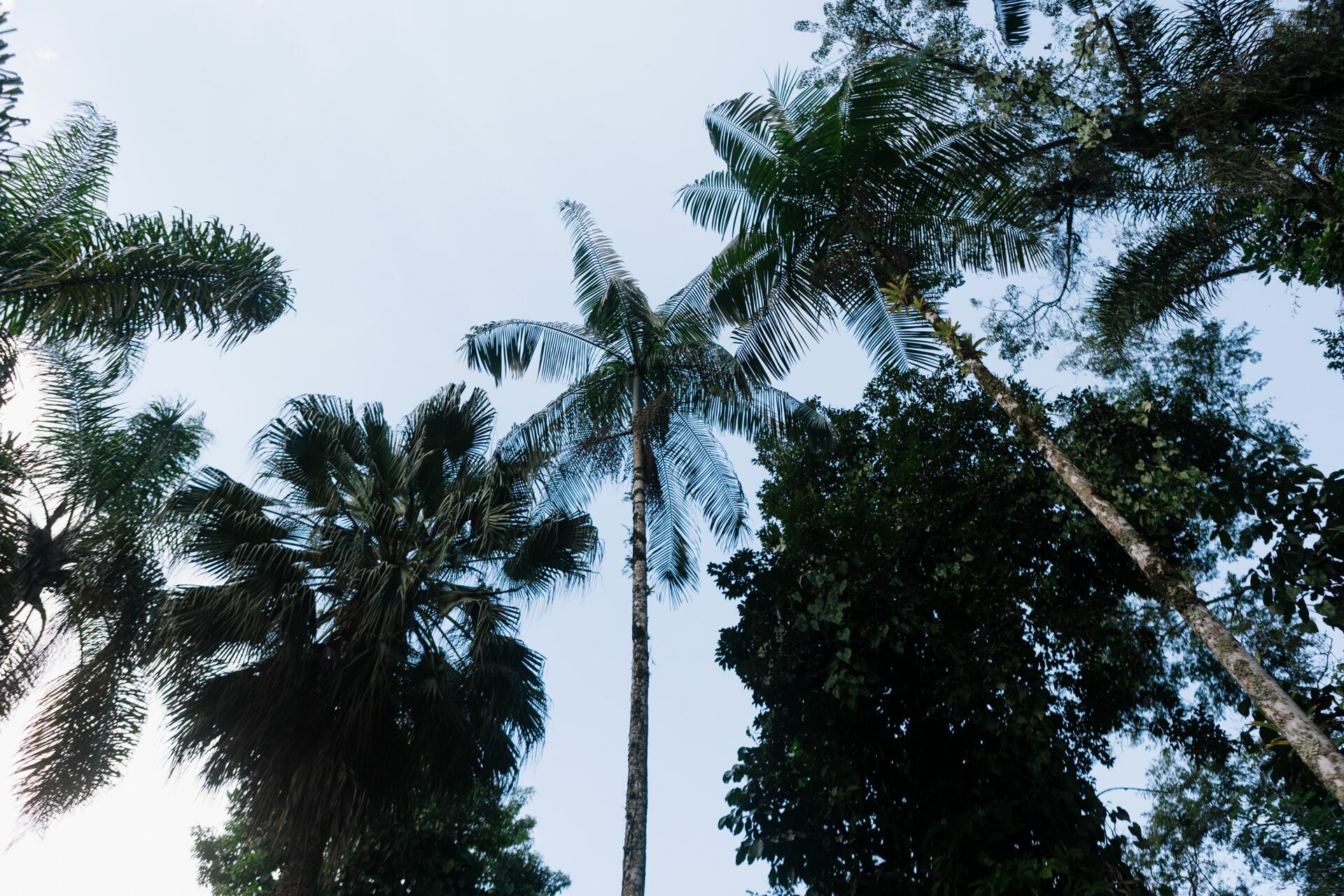 Foto Renata e Andre - Restaurante Jardim Secreto - Penedo -RJ - Imagem 279