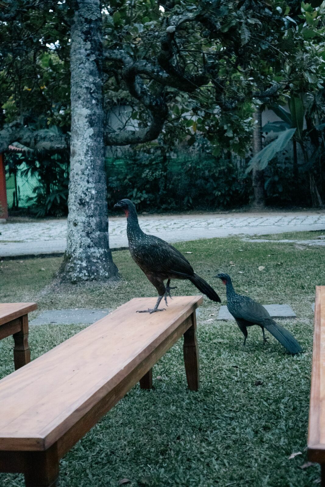 Foto Luisa e Pedro - Pousada Villa Luna - Penedo - RJ - Imagem 250