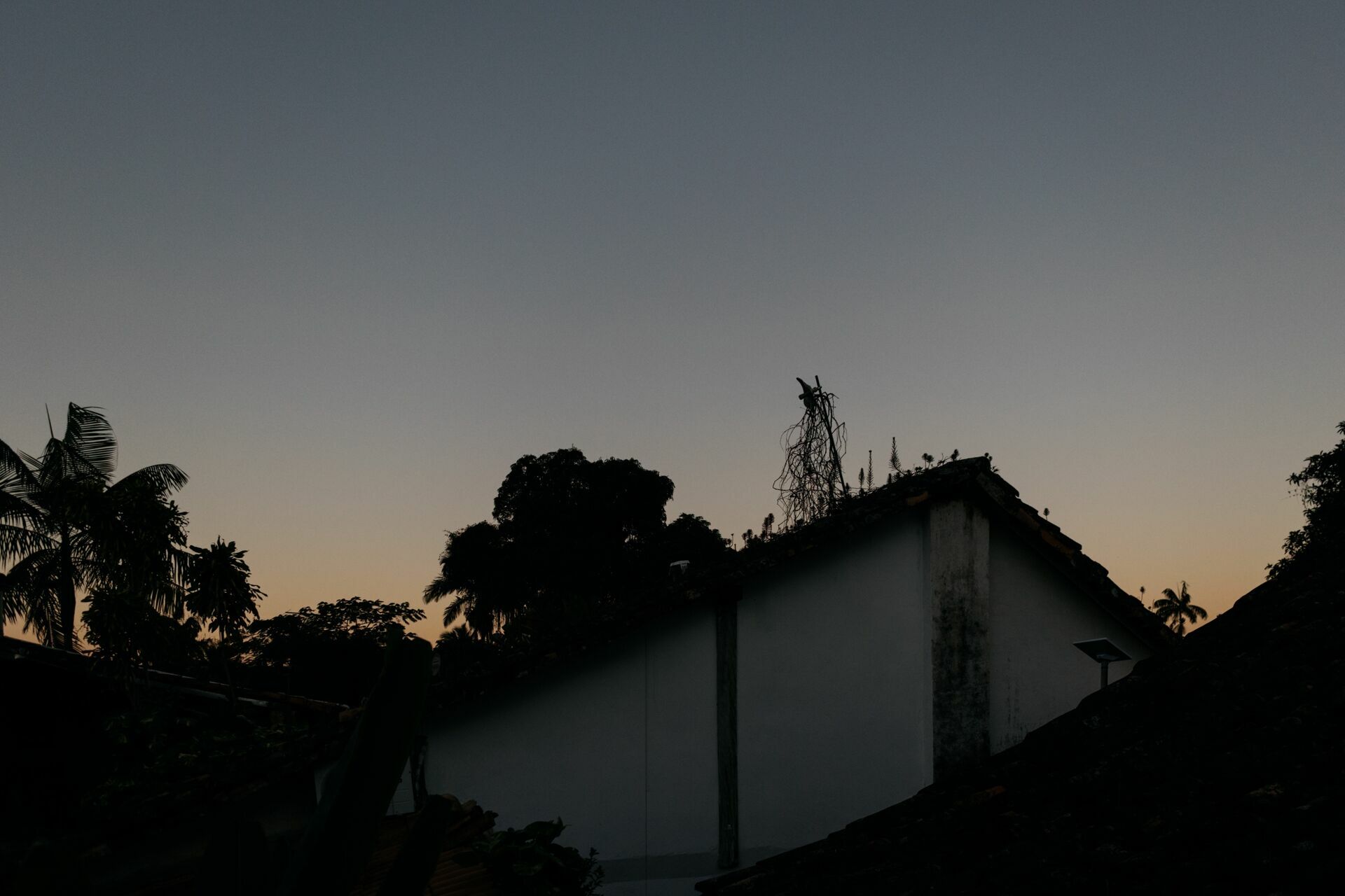 Foto Luiza e Gregorio - Paraty-RJ Foto Luiza e Gregorio - Paraty-RJ - Imagem 442